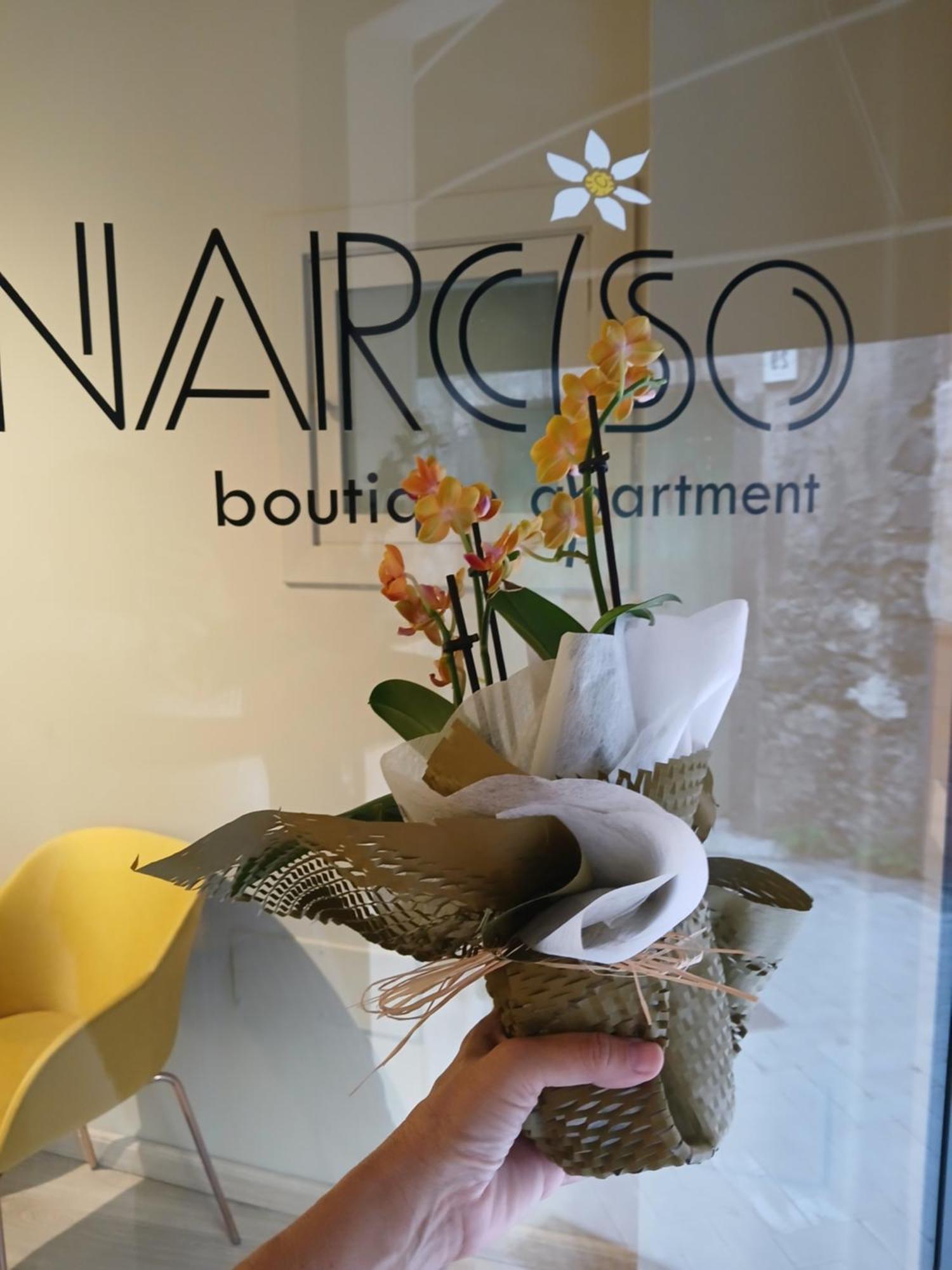 Narciso Boutique Apartment Acireale Eksteriør billede